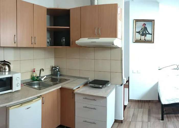 Center Park Lägenhet Cluj-Napoca