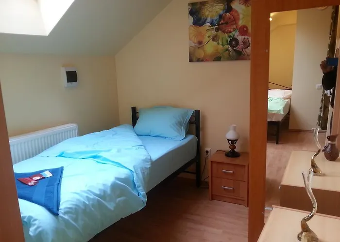 Center Park * Κλουζ-Ναπόκα